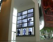 Public Narcissism II